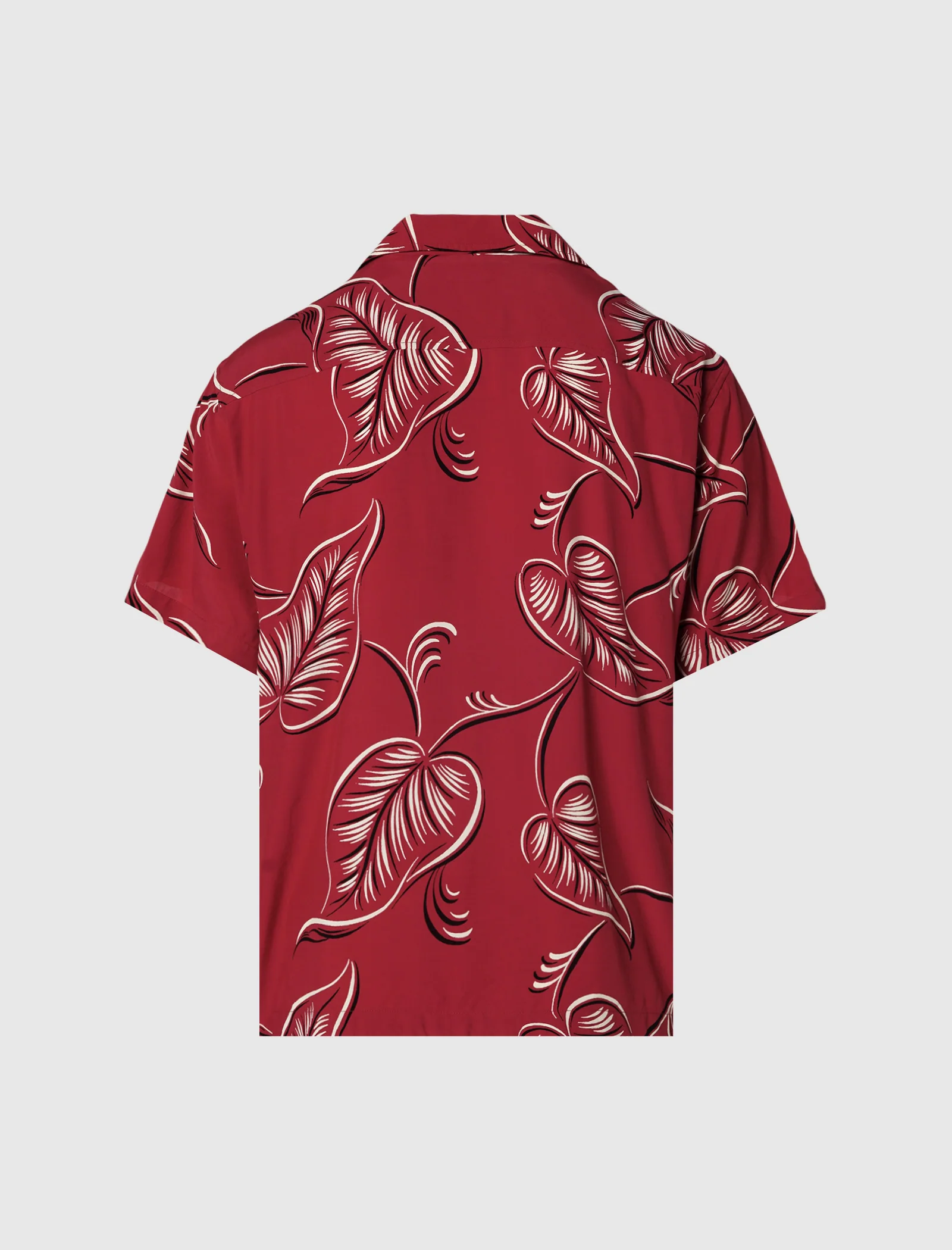 CREEPING BEGONIA SHIRT - Image 3