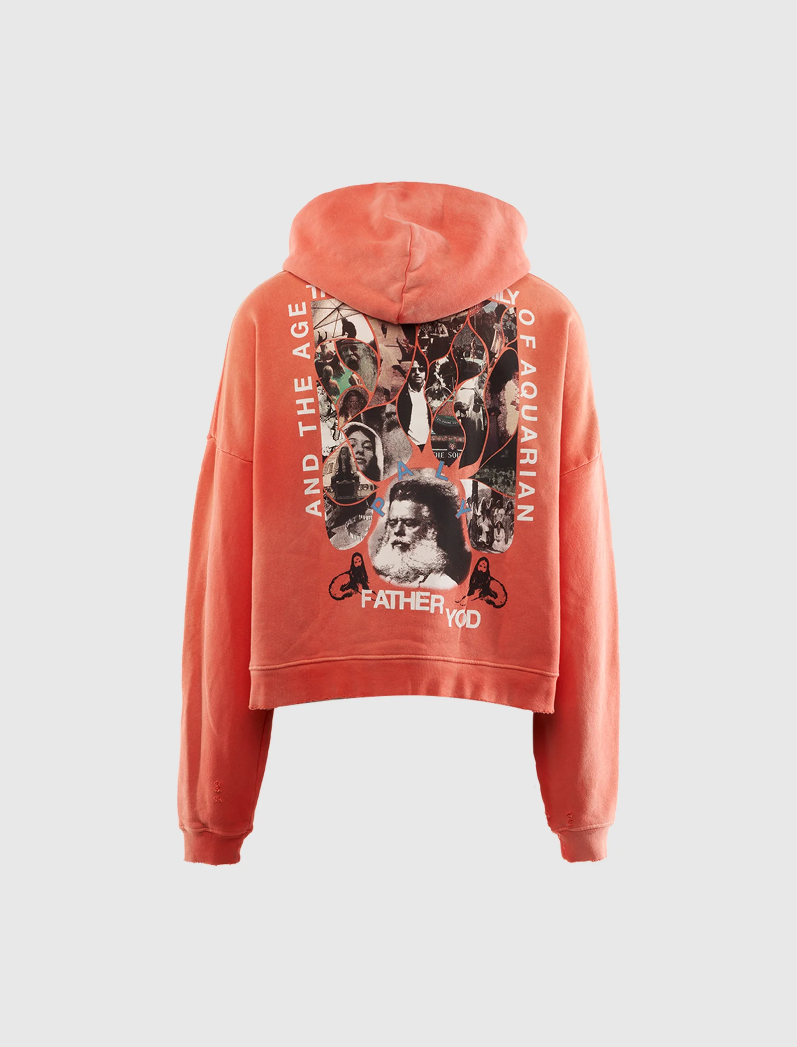 SOURCE FAMILY HOODIE - Image 3